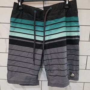 ZeroXposur Men's Gradient Striped Swim Shorts - Black and Teal